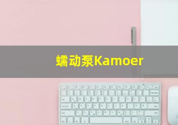 蠕动泵Kamoer