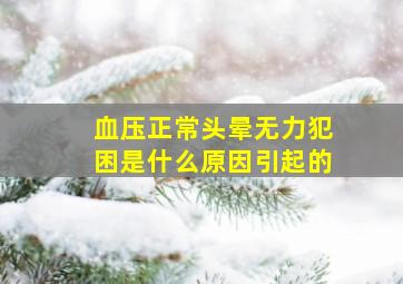 血压正常头晕无力犯困是什么原因引起的