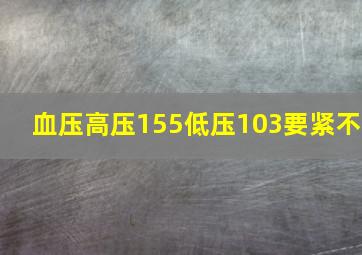 血压高压155低压103要紧不