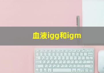 血液igg和igm