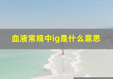 血液常规中ig是什么意思