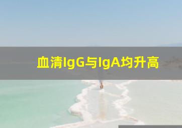 血清IgG与IgA均升高