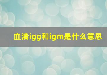 血清igg和igm是什么意思