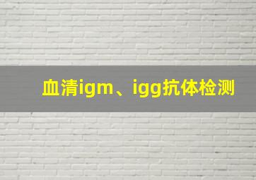 血清igm、igg抗体检测