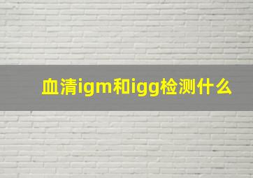 血清igm和igg检测什么