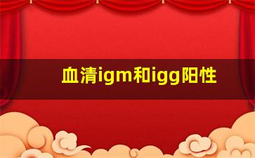 血清igm和igg阳性