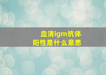 血清igm抗体阳性是什么意思