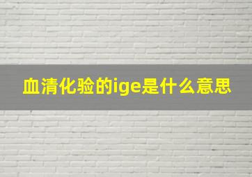 血清化验的ige是什么意思