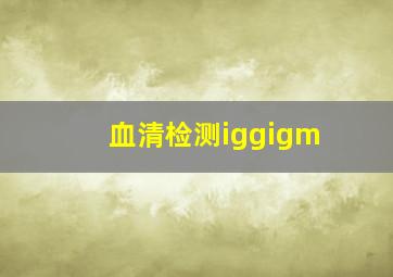 血清检测iggigm