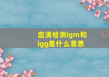 血清检测igm和igg是什么意思