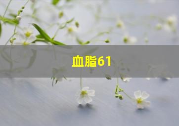 血脂61