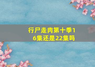 行尸走肉第十季16集还是22集吗