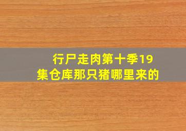 行尸走肉第十季19集仓库那只猪哪里来的