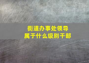 街道办事处领导属于什么级别干部