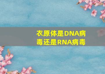 衣原体是DNA病毒还是RNA病毒