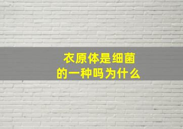 衣原体是细菌的一种吗为什么