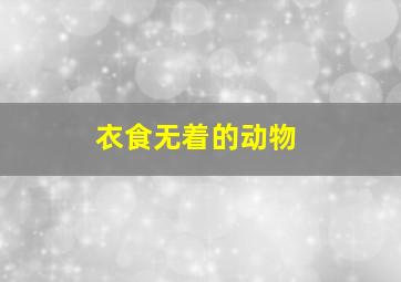 衣食无着的动物