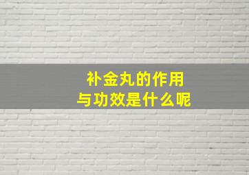 补金丸的作用与功效是什么呢