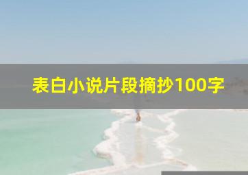 表白小说片段摘抄100字