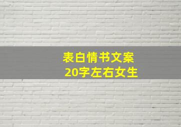 表白情书文案20字左右女生