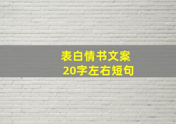 表白情书文案20字左右短句