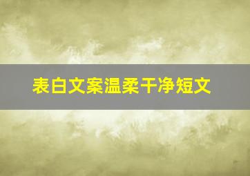 表白文案温柔干净短文