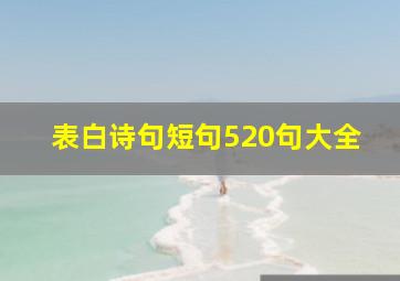 表白诗句短句520句大全