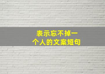 表示忘不掉一个人的文案短句