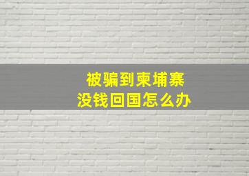 被骗到柬埔寨没钱回国怎么办