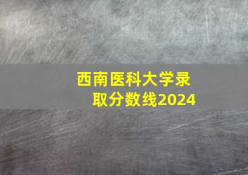 西南医科大学录取分数线2024