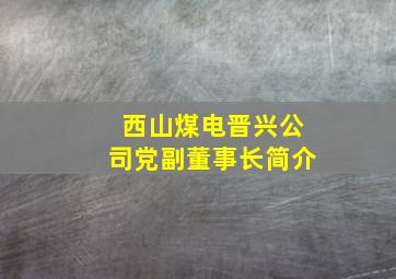 西山煤电晋兴公司党副董事长简介