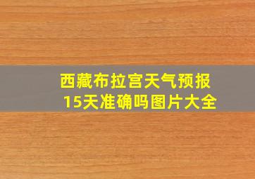 西藏布拉宫天气预报15天准确吗图片大全