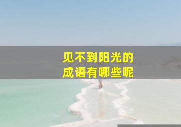 见不到阳光的成语有哪些呢