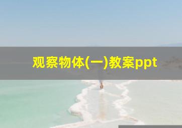 观察物体(一)教案ppt