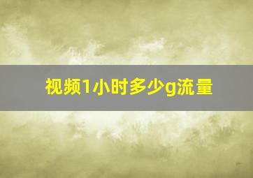 视频1小时多少g流量