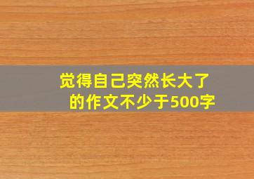 觉得自己突然长大了的作文不少于500字