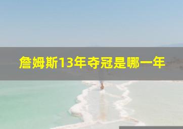 詹姆斯13年夺冠是哪一年