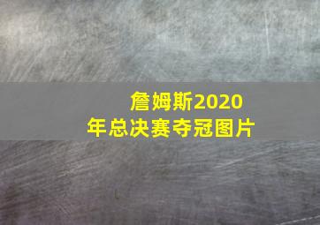 詹姆斯2020年总决赛夺冠图片