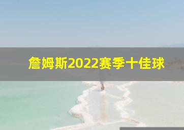 詹姆斯2022赛季十佳球