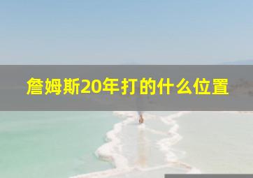 詹姆斯20年打的什么位置