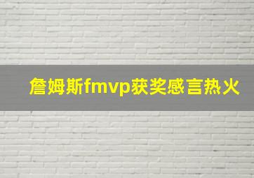 詹姆斯fmvp获奖感言热火