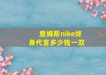 詹姆斯nike终身代言多少钱一双