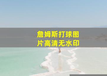 詹姆斯打球图片高清无水印