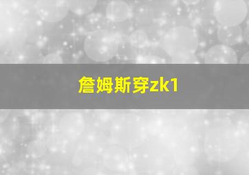 詹姆斯穿zk1