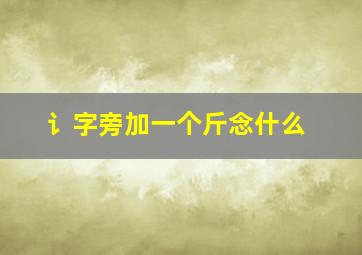 讠字旁加一个斤念什么