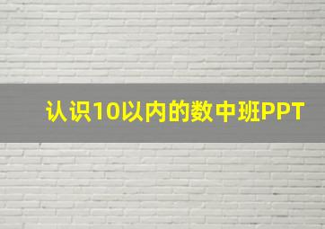 认识10以内的数中班PPT