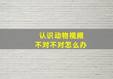 认识动物视频不对不对怎么办