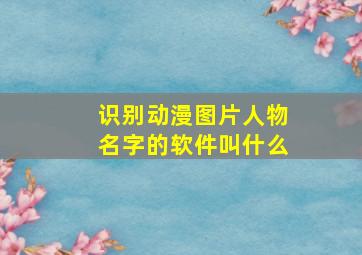 识别动漫图片人物名字的软件叫什么