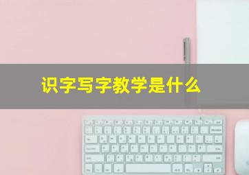 识字写字教学是什么