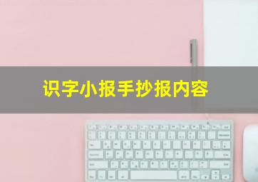 识字小报手抄报内容